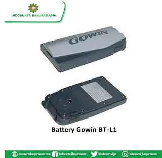Battery Gowin/Cygnus BT-L1