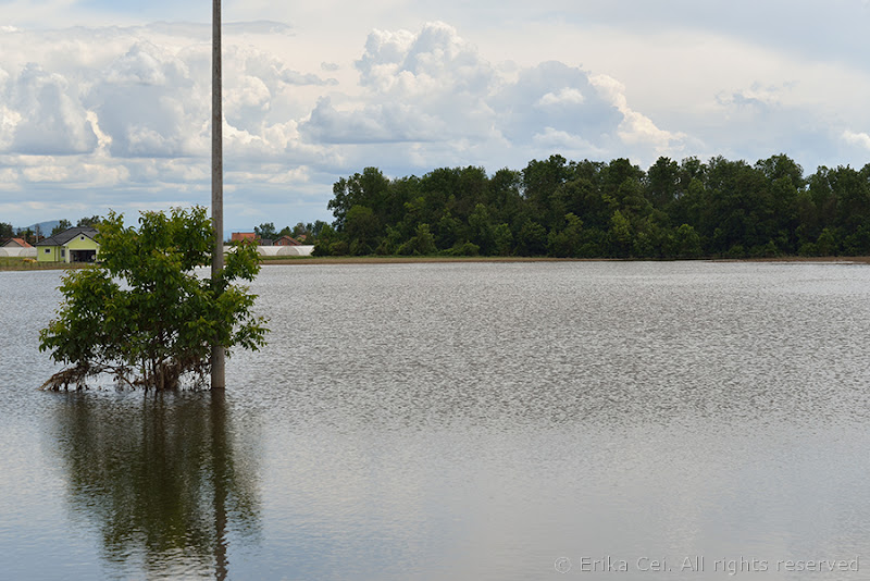 Alluvione Bijeljina