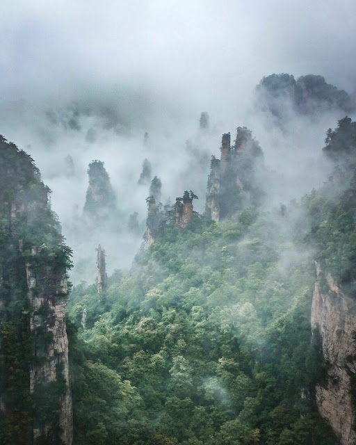 Zhangjiajie National Forest Park In China
