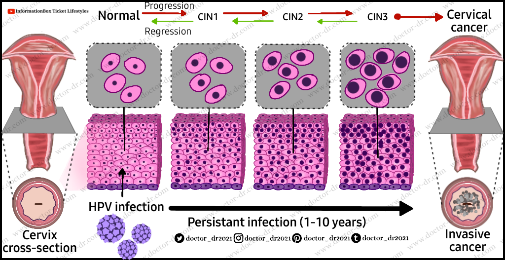 Clinical Manifestations of Human Papillomavirus (HPV)
