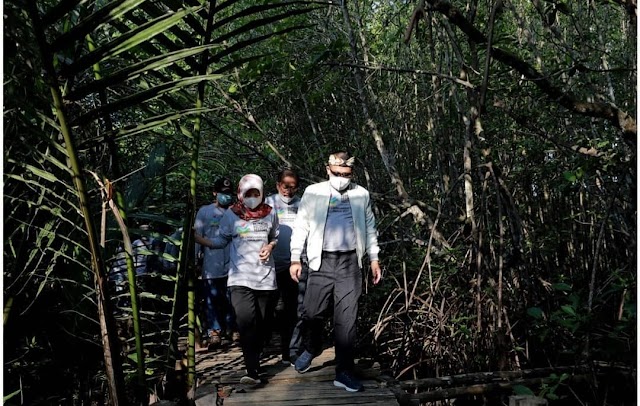 Hutan Mangrove Kebumen Siap  Sambut Warga Berwisata saat Lebaran