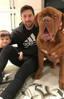 Hulk, el perro de Lionel Messi