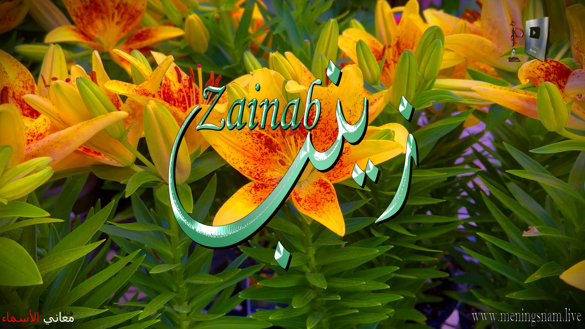 معنى اسم, زينب, وصفات, حاملة, هذا الاسم, Zainab,