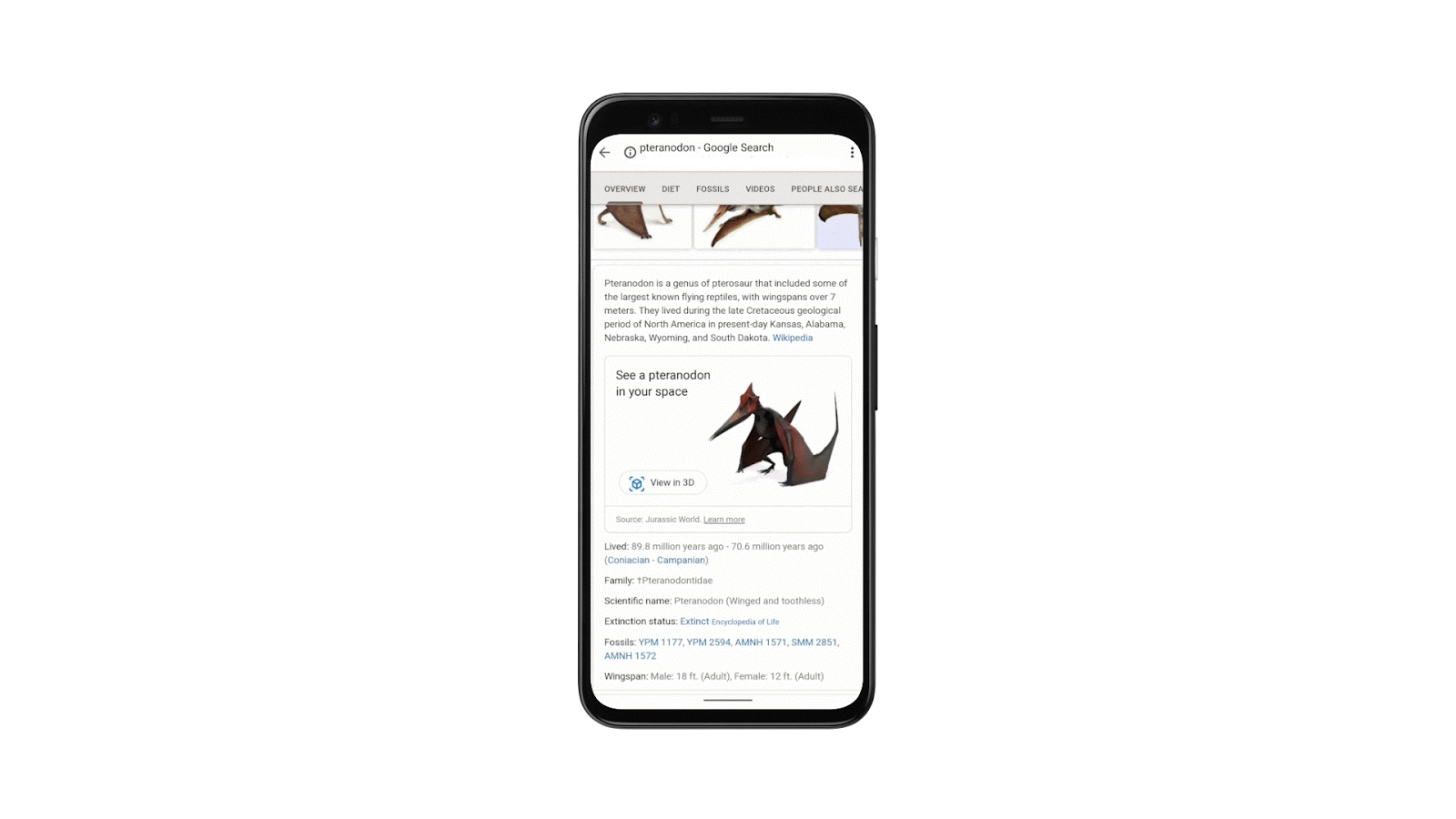 Google Japan Blog Google 検索の Ar 機能で恐竜を現代に Google Japan Blog Google 検索の Ar 機能で恐竜を現代に