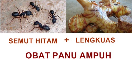 Obat panu alami paling ampuh