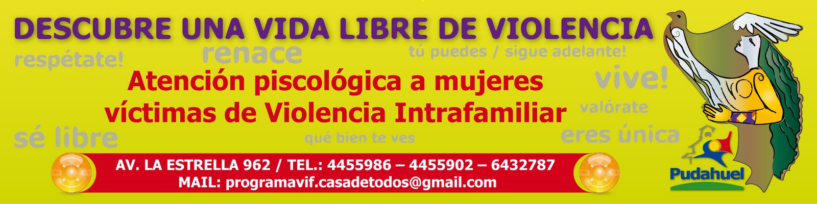 Prog. Prevencion de Violencia Intrafamiliar Pudahuel