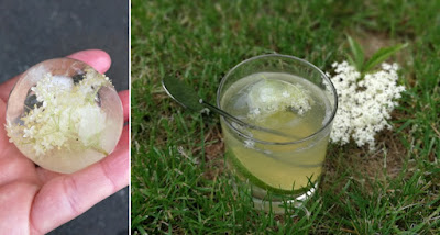 Holunderblüten-Gin mit Tonic; elderflower gin and tonic