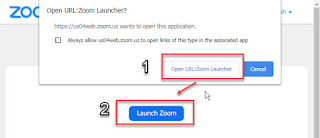 Launch Zoom