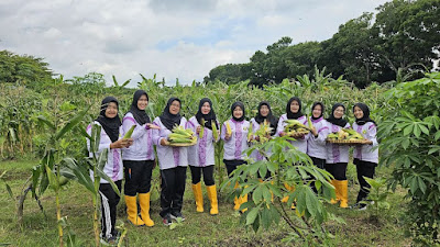 Satuan Pemeliharaan 55 Panen Jagung, Wujud Kontribusi Manis untuk Ketahanan Panga