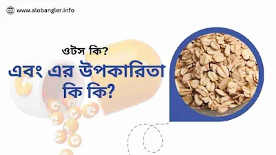 ওটস কি - এবং এর উপকারিতা কি কি?
