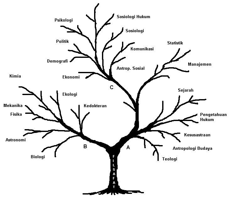 18+ Gambar Pohon Ilmu Pendidikan