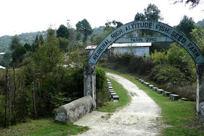 Ziro is the district headquarter of Subansiri district nearly  IndiaTravelDestinationsMap: ZIRO VALLEY - WHY YOU MUST VISIT PARADISE OF ARUNANCHAL PRADESH 