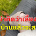 อย่าคิดว่าเลี้ยงลูกอยู่บ้ๅนแล้วจะสบาย