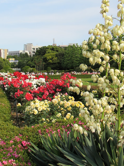 Shinjuku-gyoen