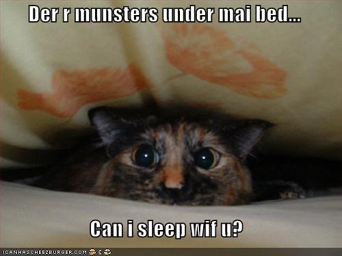 funny-pictures-cat-is-scared-and-wants-to-sleep-with-you.jpg