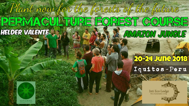 http://sublimart.blogspot.pt/2018/03/permaculture-forest-course-pfc-in.html
