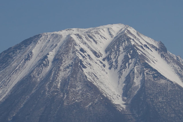 とっとり花回廊　芝生け広場　大山の眺望