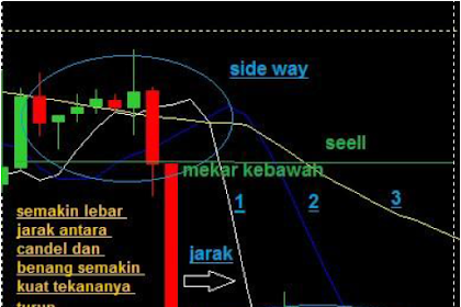 Rahasia Dinapoli- Belajar Trading Forex