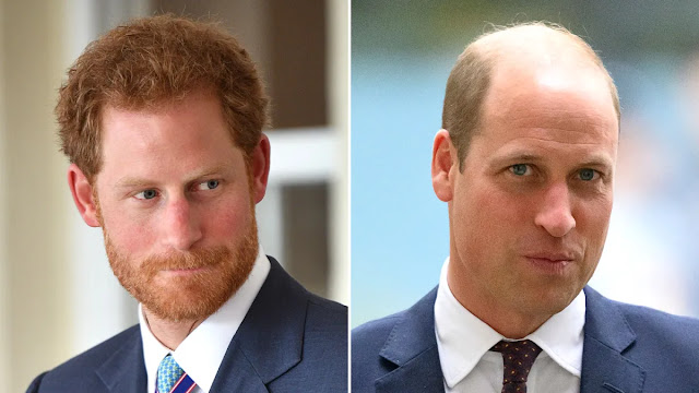 **Understanding the Genetics Behind Prince William's Hair Loss and Prince Harry's Full Hair**