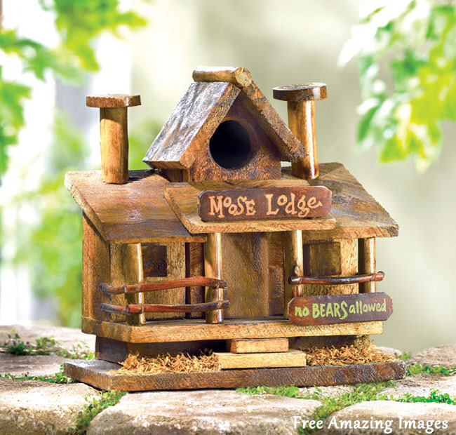 Free Amazing Images: 26 Best And Most Creative Bird House ...