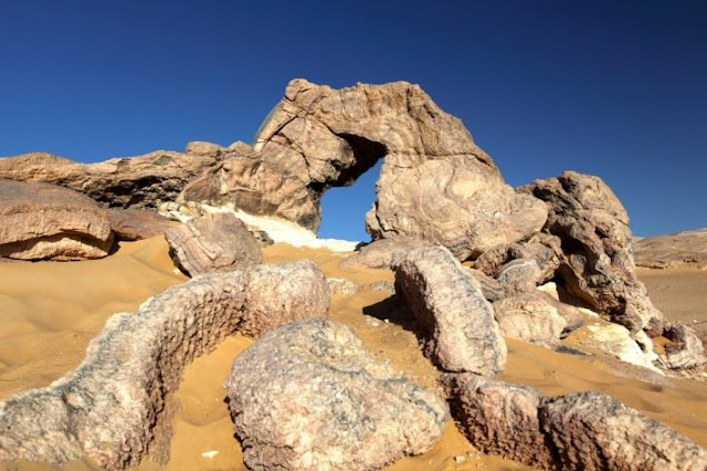 bahariya oasis