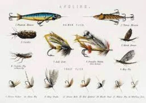 Fly Fishing History and Tips