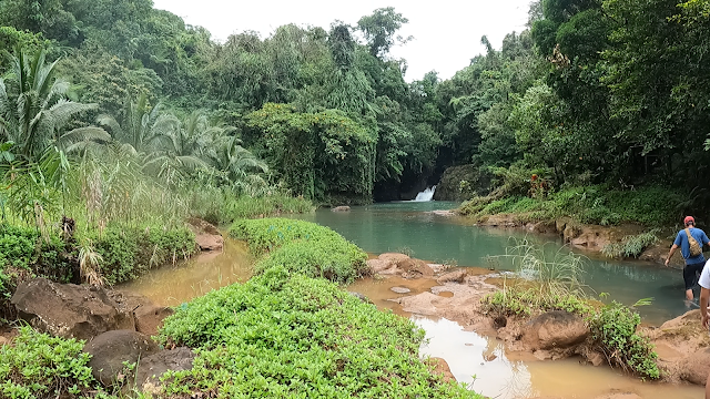 magical river waterfalls greeneries forest