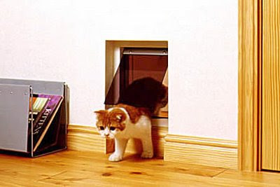 Creative Cat Houses and Cool Cat Bed Designs