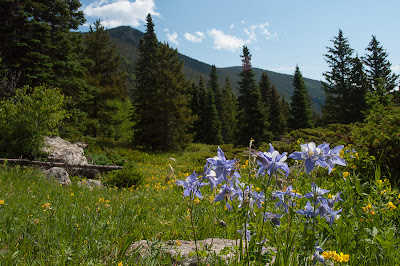 Forest Lakes Trail