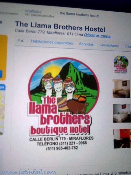 Los hermanos LLama :) - Hotel para mochileros en Miraflores - LatinFail