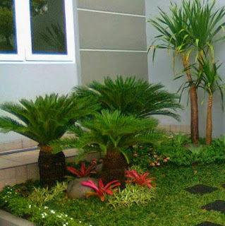 Jasa Pembuat Taman Minimalis Murah,Tukang Taman Rumah