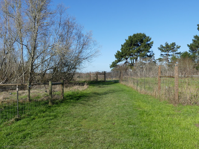 grassy path between fences
