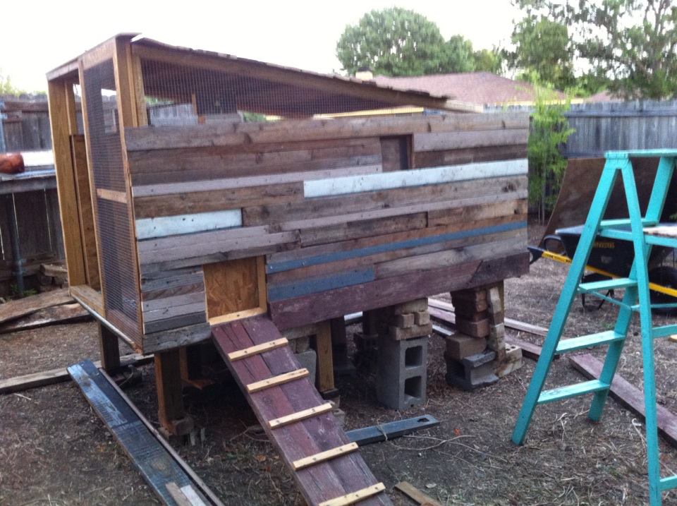 Making Home: Our Cheap, Blueprint-less DIY Chicken Coop