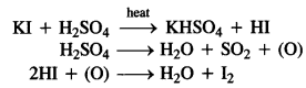 Solutions Class 12 Chemistry Chapter-10 (Haloalkanes and Haloarenes)