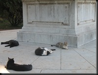 Cats - Botanical Garden - Guardians