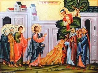 Zacchaeus and Jesus