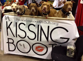 Cute dogs - part 6 (50 pics), kissing booth pitbull dogs