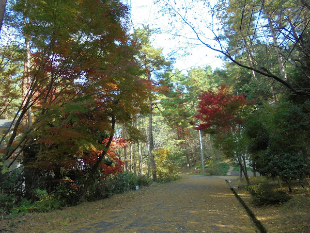 別荘地の紅葉風景