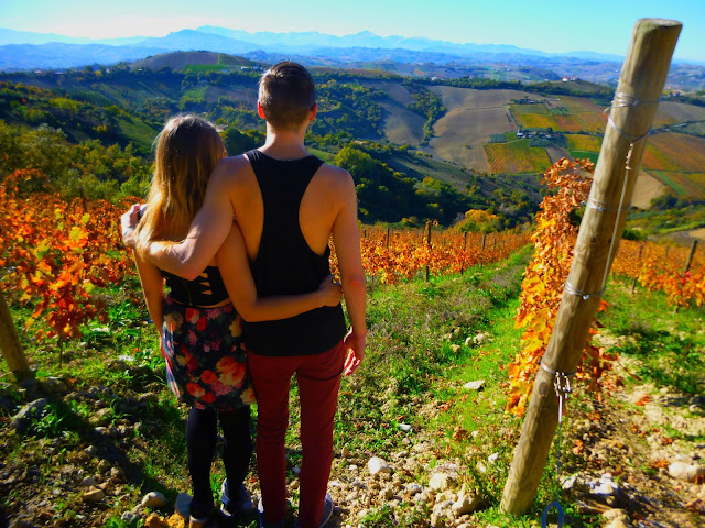 italy vineyard