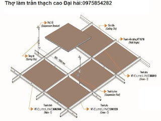 tran-thach-cao-chim-la-gi-the-nao-la-tran-tha-noi