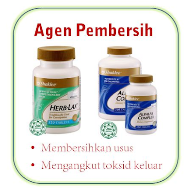 Image result for penjagaan kesihatan usus shaklee