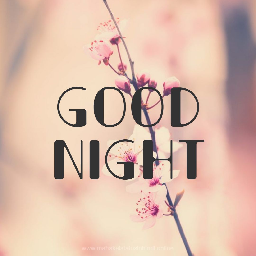 Good Night Images  Flower