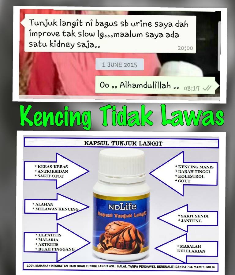 Herba & Kesihatan: Testimoni Pengguna Kapsul Tunjuk Langit 