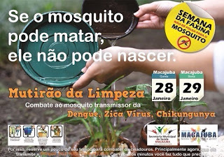 Saúde: Prefeitura realizará mutirão em combate a aedes aegypti