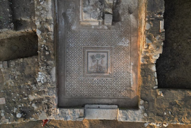 Ένα καλοδιατηρημένο ψηφιδωτό με λιοντάρια ανακαλύφθηκε στην αρχαία πόλη της Προύσας