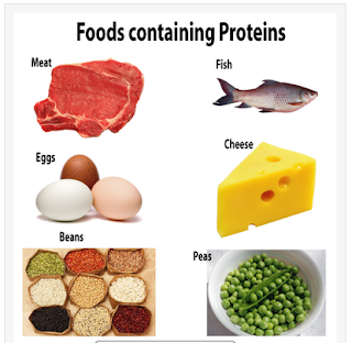 http://bankofinfo.com/why-proteins-fats-carbohydrates-minerals-vitamins-and-fibre-are-essential-for-health/