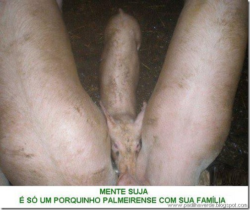 face outros porquinho mamamndo