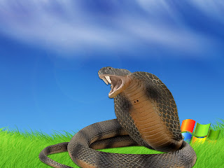 Snake King Cobra