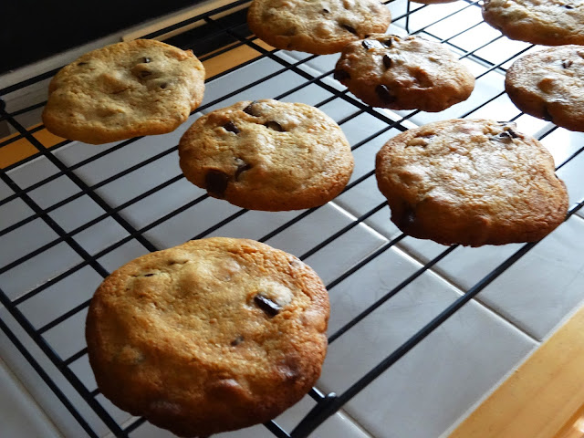 chocolate chip cookies