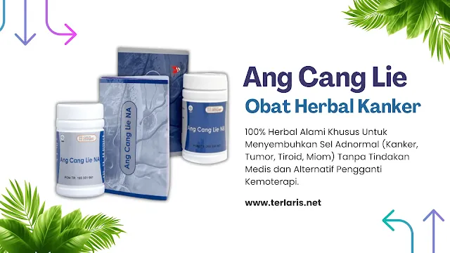 Ang cang lie NA NB - obat herbal kanker